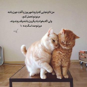 دانلود آهنگ د بیا سهیل مهرزادگان و مهستی از فارس ترانه